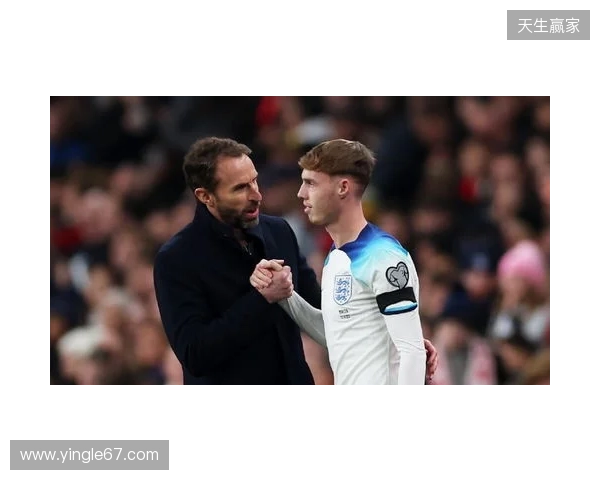 图赫尔谈10号位：一阶段考察帕尔默&福登；二阶段贝林&罗杰斯